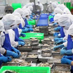 Thuỷ sản Việt Nam giữ vị trí top 3 xuất khẩu lớn nhất vào Singapore