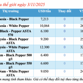 Giá tiêu hôm nay 3/11/2025: Duy trì giá cao