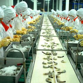 10 tháng năm 2025, cả nước xuất siêu 19,56 tỷ USD