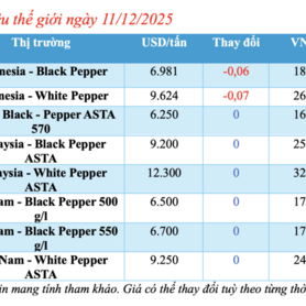 Giá tiêu hôm nay 11/12/2025: Tăng nhẹ