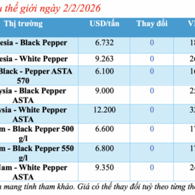 Giá tiêu hôm nay 2/2/2026: Thị trường ổn định