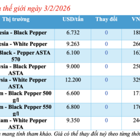 Giá tiêu hôm nay 3/2/2026: Cao nhất 152.000 đồng/kg