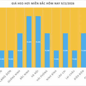 Giá heo hơi hôm nay 9/2/2026: Tiếp tục giảm nhiều nơi