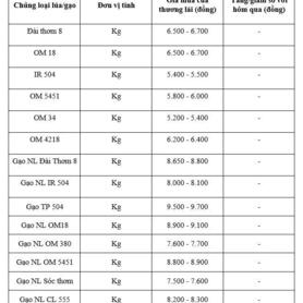 Giá lúa gạo hôm nay ngày 10/2/2026: Mua bán cầm chừng, giá ổn định