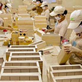 Xuất khẩu gỗ sang EU: Doanh nghiệp Việt trước ‘bài kiểm tra’ EUDR