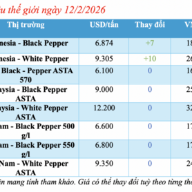 Giá tiêu hôm nay 12/2/2026: Giảm nhẹ tại Đắk Lắk