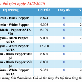 Giá tiêu hôm nay 13/2/2026: Giảm nhẹ vài nơi