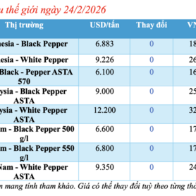 Giá tiêu hôm nay 24/2/2026: Chạm ngưỡng 152.000 đồng/kg
