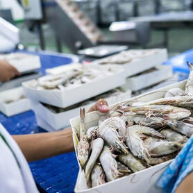 Thị trường EU/Anh giảm cầu: Doanh nghiệp xuất khẩu phải làm gì?