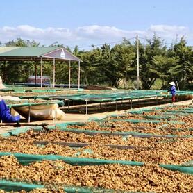 Khu công nghiệp Nam Pleiku tăng sức hút từ dự án chế biến 500 tỷ đồng