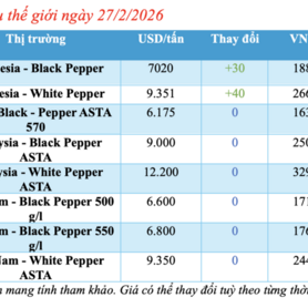Giá tiêu hôm nay 27/2/2026: Đảo chiều tăng thêm