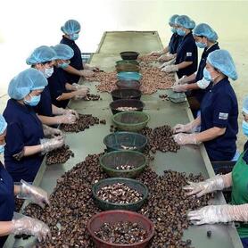 Nông sản Việt hướng tới chinh phục mục tiêu xuất khẩu 100 tỷ USD