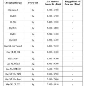 Giá lúa gạo hôm nay ngày 2/3/2026: Lúa tươi vững giá