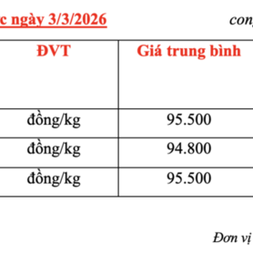 Giá cà phê hôm nay 3/3/2026: Giảm nhẹ
