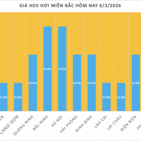Giá heo hơi hôm nay 6/3/2026: Tiếp tục giảm nhiều nơi