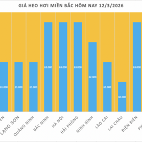Giá heo hơi hôm nay 12/3/2026: Biến động trái chiều