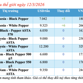 Giá tiêu hôm nay 12/3/2026: Giảm nhẹ vài nơi