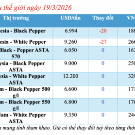 Giá tiêu hôm nay 19/3/2026: Lao dốc, rớt giá đến 5.000 đồng/kg