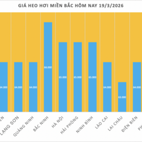 Giá heo hơi hôm nay 19/3/2026: Tăng đồng loạt từ 1.000 - 2.000 đồng/kg