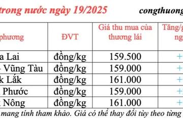 Giá tiêu hôm nay 19/3/2025 trong nước duy trì đà tăng
