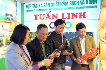 "Luồng gió mới" cho kinh tế tư nhân Quảng Bình