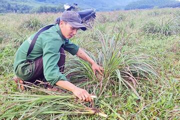 Tạo sinh kế cho vùng bị ảnh hưởng bởi khai thác khoáng sản