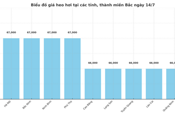 Giá heo hơi hôm nay 12/7/2025: Miền Bắc điều chỉnh giảm, miền Nam giữ đỉnh giá