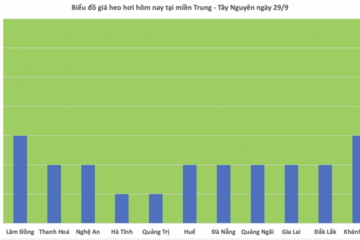 Giá heo hơi hôm nay 29/9/2025: Miền Bắc tăng nhẹ, miền Nam đi ngang