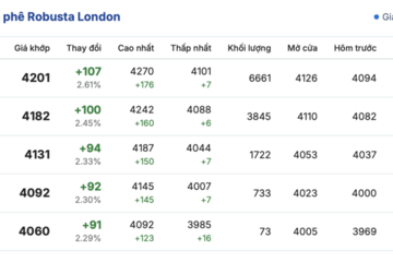 Giá cà phê hôm nay 29/9/2025: Trong nước đi ngang