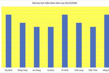 Giá heo hơi hôm nay 22/12/2025: Tiếp đà tăng, đạt đỉnh mới