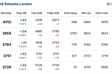 Giá cà phê hôm nay 29/12/2025: Tạm chững phiên đầu tuần