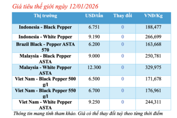Giá tiêu hôm nay 12/1/2026: Neo cao quanh mốc 150.000 -152.500 đồng/kg