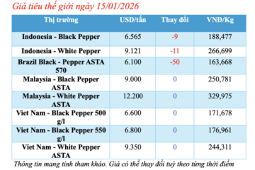 Giá tiêu hôm nay 15/1/2026: Thế giới sụt giảm nhẹ, nội địa đi ngang
