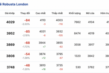 Giá cà phê hôm nay 3/2/2026: Tăng nhẹ