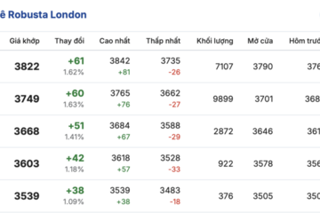 Giá cà phê hôm nay 6/2/2026: Tiếp tục giảm nhẹ