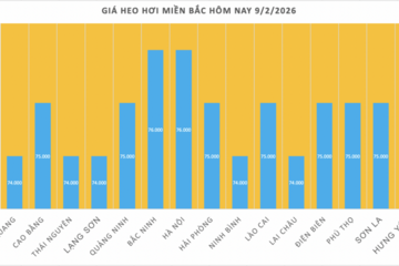 Giá heo hơi hôm nay 9/2/2026: Tiếp tục giảm nhiều nơi
