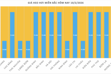 Giá heo hơi hôm nay 10/2/2026: Tiếp đà giảm diện rộng