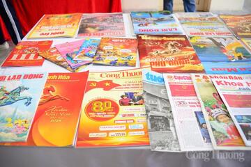 Lâm Đồng tổ chức 19 điểm bắn pháo hoa dịp tết Nguyên đán Bính Ngọ 2026