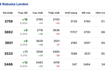 Giá cà phê hôm nay 12/2/2026: Đảo chiều giảm mạnh 1.000 - 1.200 đồng