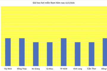 Giá heo hơi hôm nay 12/2/2026: Tiếp đà giảm đồng loạt trên toàn quốc