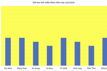 Giá heo hơi hôm nay 13/2/2026: Thị trường trầm lắng