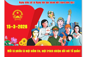 Quy định về Tổ bầu cử: Thành lập, nhiệm vụ và quyền hạn