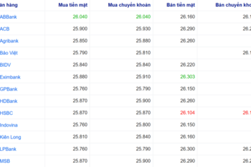 Tỷ giá USD hôm nay 24/2/2026: USD thế giới suy yếu nhẹ