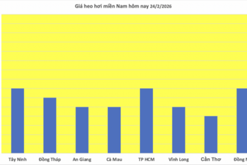 Giá heo hơi hôm nay 24/2/2026: Giảm vài nơi tại miền Trung và miền Nam