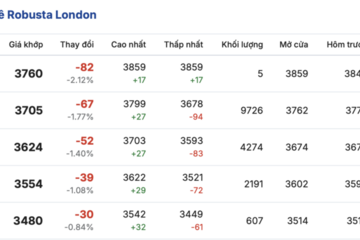 Giá cà phê hôm nay 4/3/2026: Phục hồi nhẹ