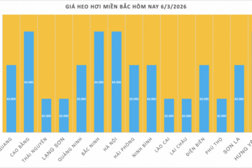 Giá heo hơi hôm nay 6/3/2026: Tiếp tục giảm nhiều nơi