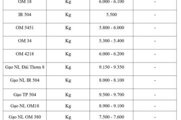 Giá lúa gạo hôm nay ngày 10/3/2026: Gạo nguyên liệu xuất khẩu OM 5451 tăng
