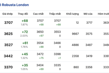 Giá cà phê hôm nay 13/3/2026: Trong nước sụt giảm sâu