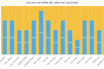 Giá heo hơi hôm nay 18/3/2026: Tăng diện rộng trên cả 3 miền