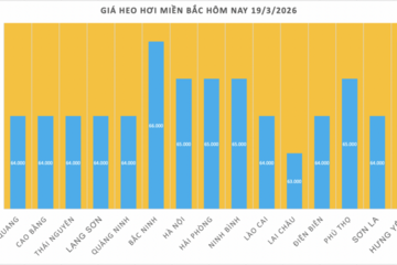Giá heo hơi hôm nay 19/3/2026: Tăng đồng loạt từ 1.000 - 2.000 đồng/kg